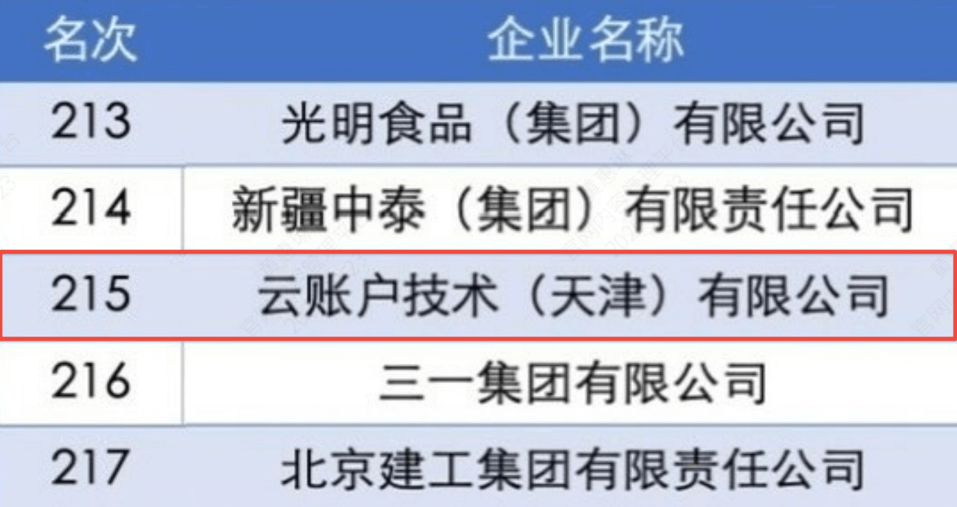 荣列2025中国企业<br/>500强第215名