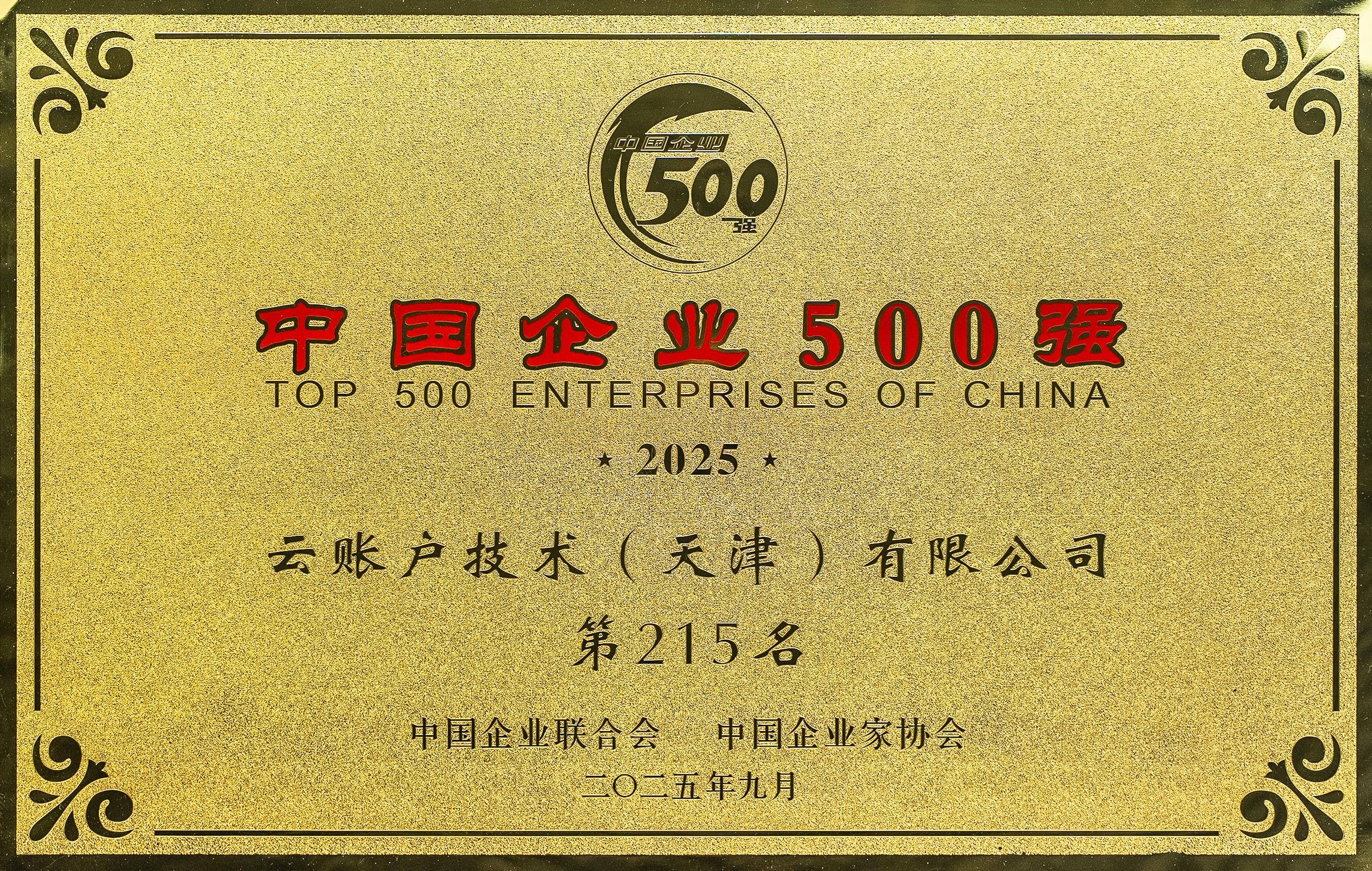 荣列2025中国企业<br/>500强第215名